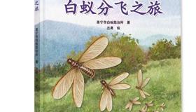 《白蚁分飞之旅》带你揭秘“无牙老虎”的分飞旅程
