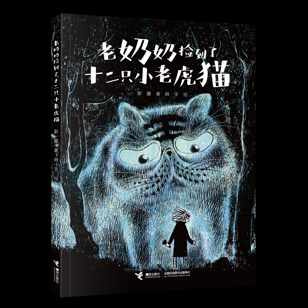 《老奶奶捡到了十二只小老虎猫》