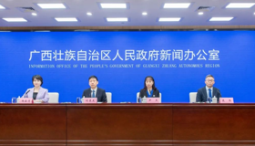 2024中国—东盟图书文化周新闻发布会举行