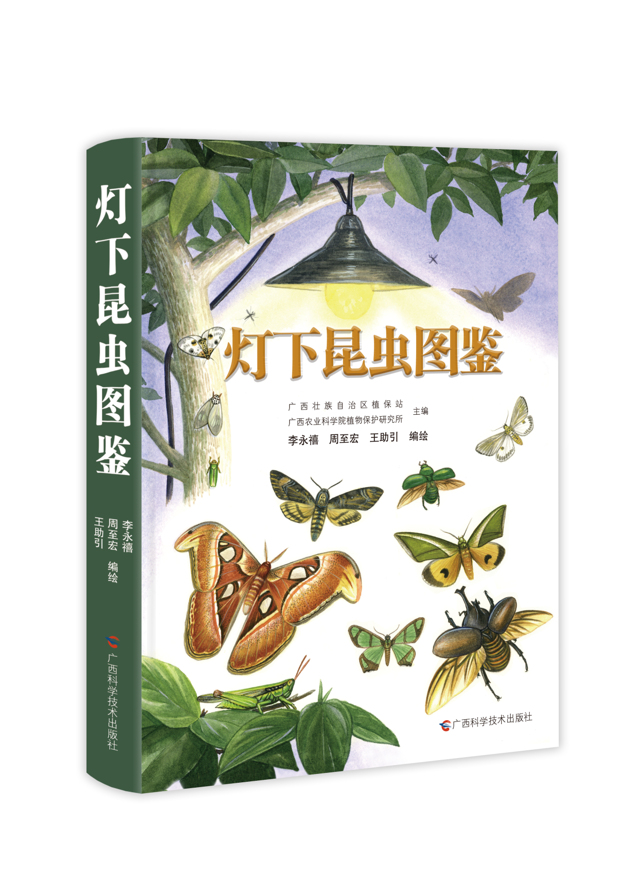 《灯下昆虫图鉴》