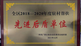 集团公司党群工作部、新华书店集团罗代欢同志荣获自治区党委组织部表彰全区2018-2020年度 驻村工作队先进集体和优秀个人