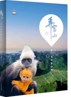 《弄官山——在白头叶猴中间》